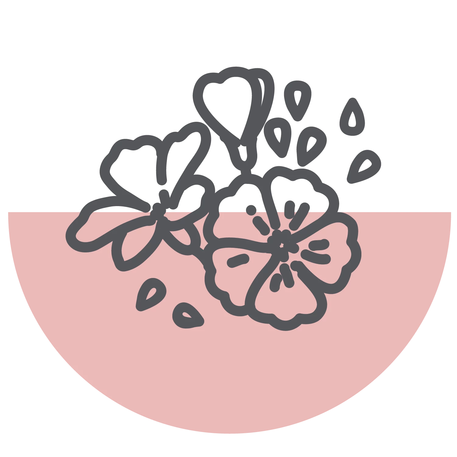 Floral Bridgewater Candle Company