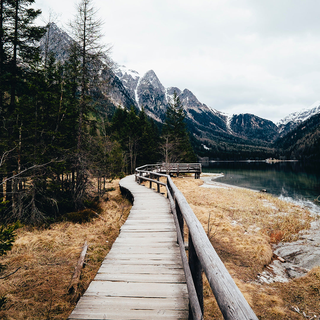 A wooden boardwalk with railings curves along a lake shore, surrounded by trees and dry grass, with snow-capped mountains in the background under a cloudy sky.