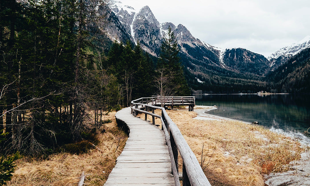 A wooden boardwalk with railings curves along a lake shore, surrounded by trees and dry grass, with snow-capped mountains in the background under a cloudy sky.