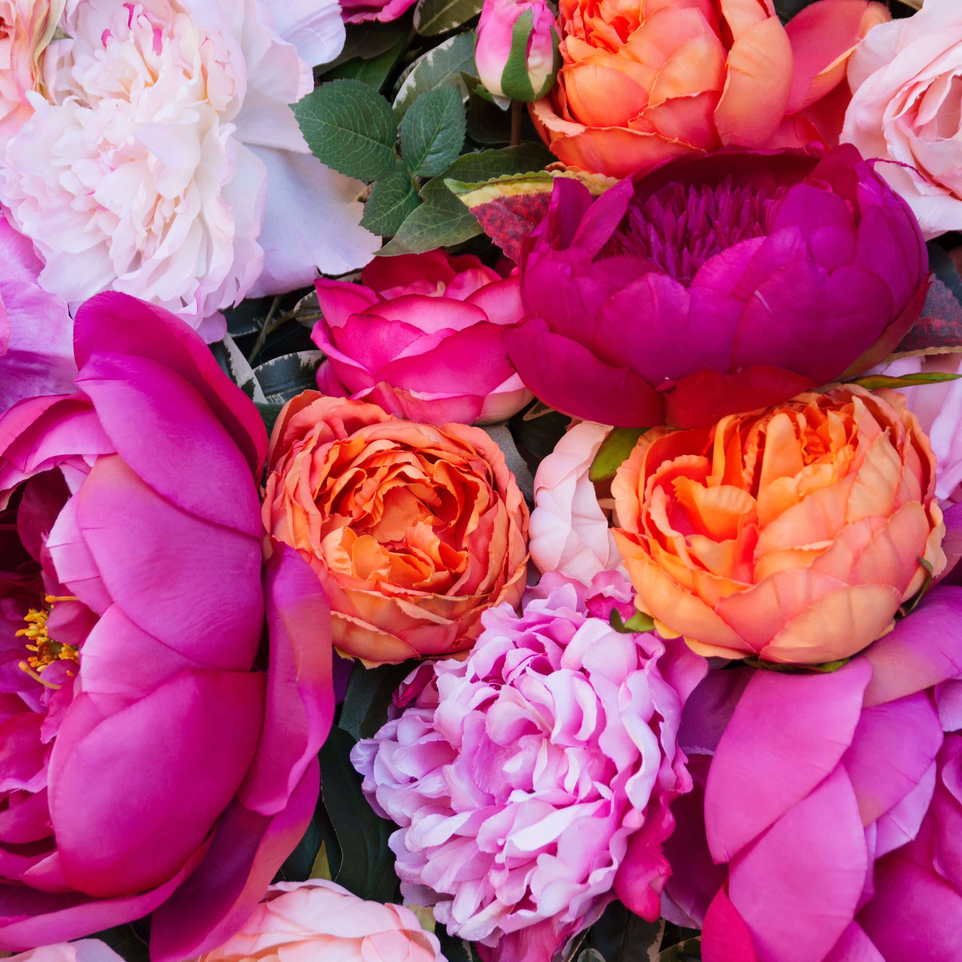 A vibrant assortment of pink, orange, and white peonies and roses with lush petals, densely arranged to create a colorful, textured floral display.