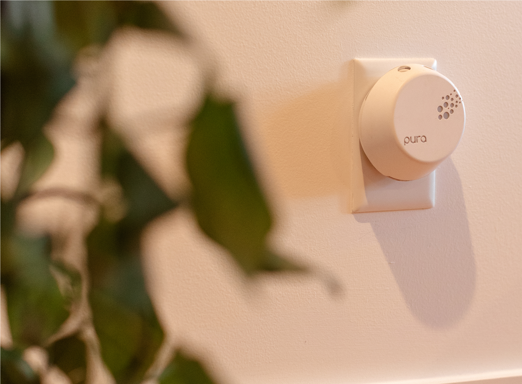 A Pura smart air freshener plugged into a white wall outlet, with a leafy green plant blurred in the foreground on the left side.