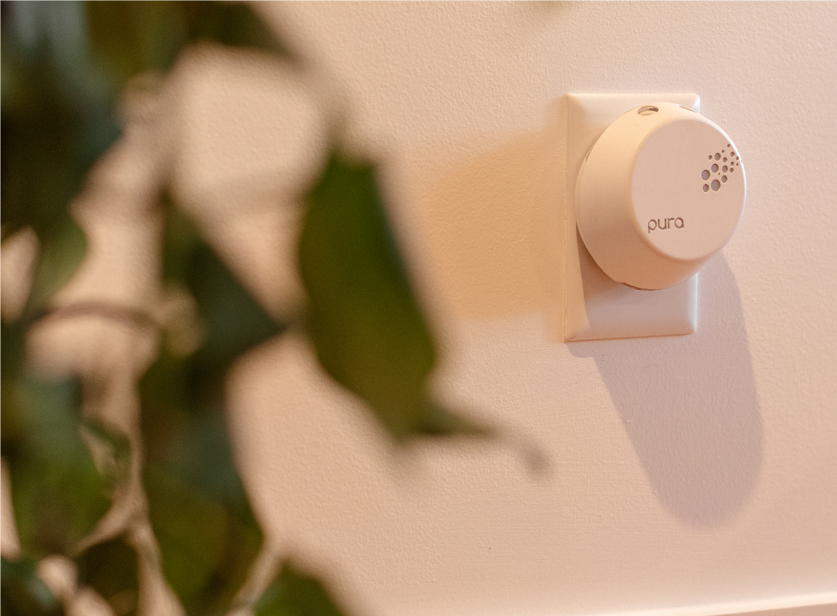 Pura + Bridgewater Fragrance Refill Sweet Grace Bridgewater Candle