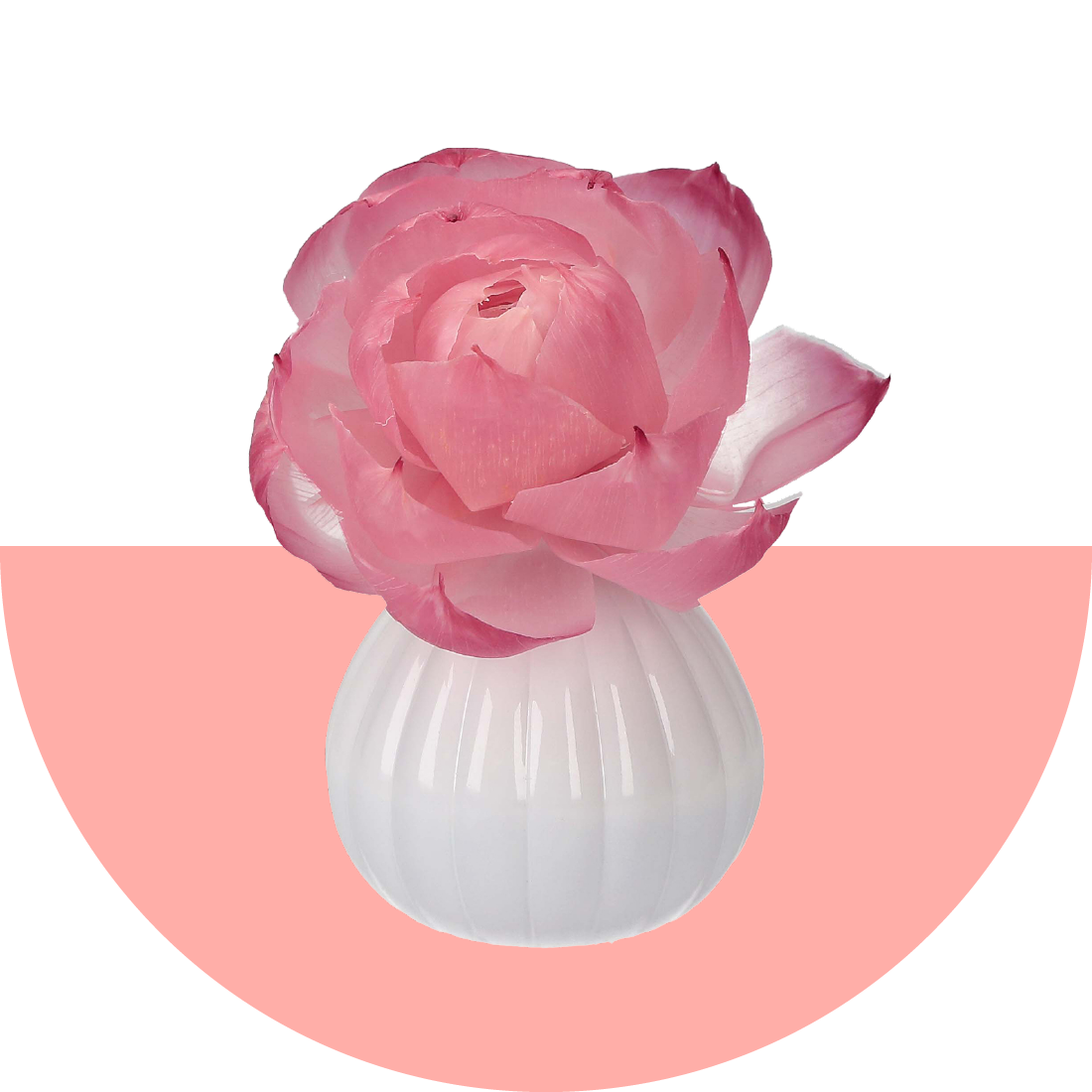 BW-WebIcons-Flower_c0681a95-37b1-4083-b96e-2f2e9fc85f01.png