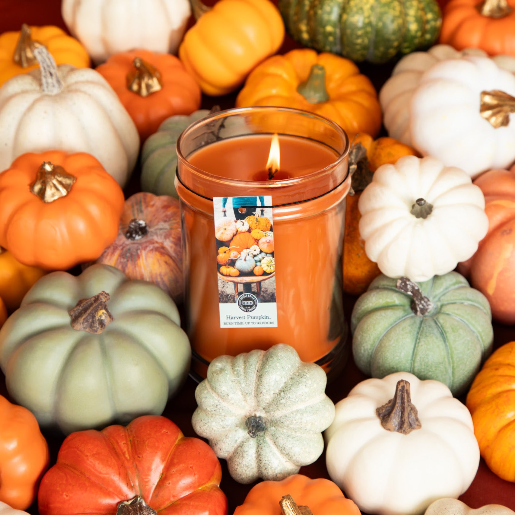 Candle with a harvest pumpkin label surrounded by colorful pumpkins