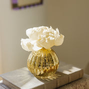 A small gold-speckled glass vase with white flowers and Bridgewater Candle’s Sweet Grace Dye-Free Flower Refill sits atop a textured book in gentle sunlight, infusing the serene scene with a long-lasting, dye-free fragrance.