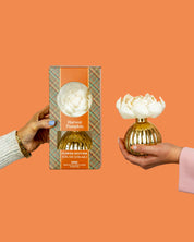 Two hands hold items against an orange background: one holds a boxed Bridgewater Candle Company Harvest Pumpkin Mercury Flower Diffuser, while the other holds the gold pumpkin-shaped diffuser itself, decorated with white flower petals on top—perfect for adding a cozy pumpkin spice fragrance to your space.
