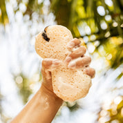 A hand squeezing a soapy sponge outdoors, with foam visible and a blurred background of green palm leaves and sunlight.