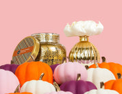 A Bridgewater Candle Company Harvest Pumpkin Mercury Flower Diffuser in a gold jar is displayed alongside a gold vase with a white flower, surrounded by small pumpkins in orange, pink, purple, and white against a plain pink background.