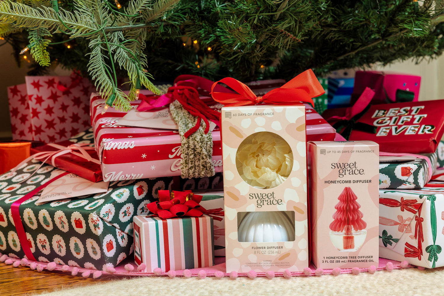 BWHoliday_LS_SweetGrace2026_06_1.jpg
