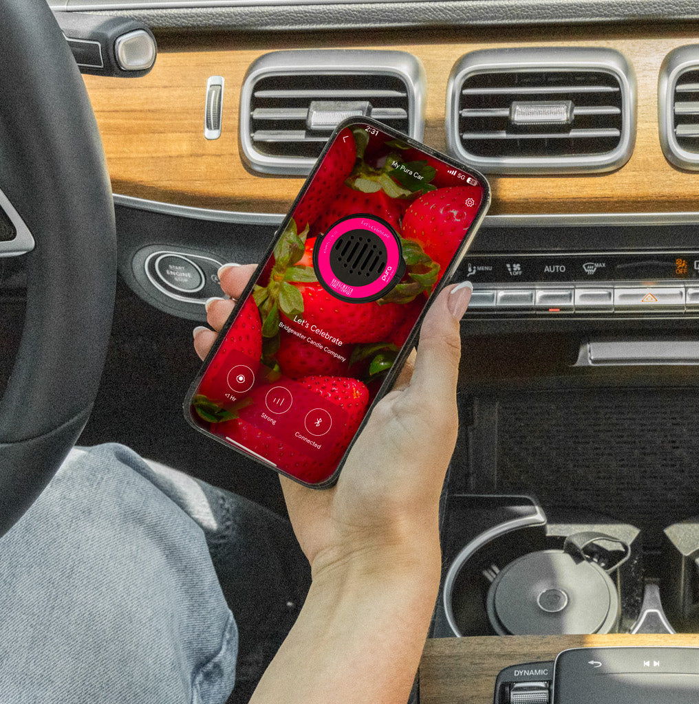 Person holding a smart phone using the pura app to set up the car device inside the car's interior