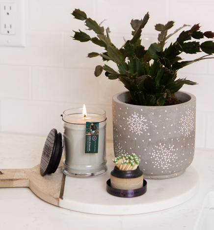 A potted cactus, a Bridgewater Candle Company Amber & Emerald 8oz Jar Candle, and a container of matches sit on a white round tray atop a kitchen counter with a white tile backsplash.
