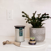 A potted plant, a Bridgewater Candle Company Amber & Emerald 18oz Large Jar Candle, and a small container of matches rest on a round white tray on a kitchen counter with a white tile backsplash.