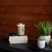 A Bridgewater Candle Company Afternoon Retreat 18oz Large Jar Candle glows atop stacked books beside lush potted plants on a dark surface, set against a wooden wall—a cozy, rustic scene perfect for relaxing.