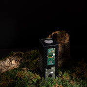 The Amber & Emerald Reed Diffuser by Bridgewater Candle Company stands boxed on green moss with bark pieces, set against a dark background. Its packaging displays a green and black design, reflecting the fresh scent within.