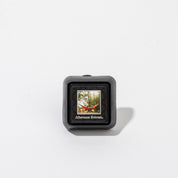 The Afternoon Retreat Auto Vent Clip by Bridgewater Candle Company is a small black square with a red hammock label, designed to bring the signature fragrance to your car.