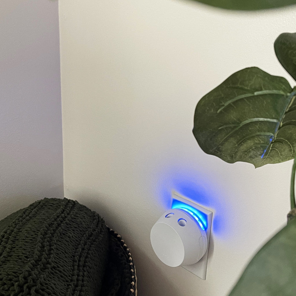 A Pura + Bridgewater Sweet Grace Lovers Kit by Bridgewater Candle Company is plugged into a wall outlet near a green knitted blanket and a large leafy plant.