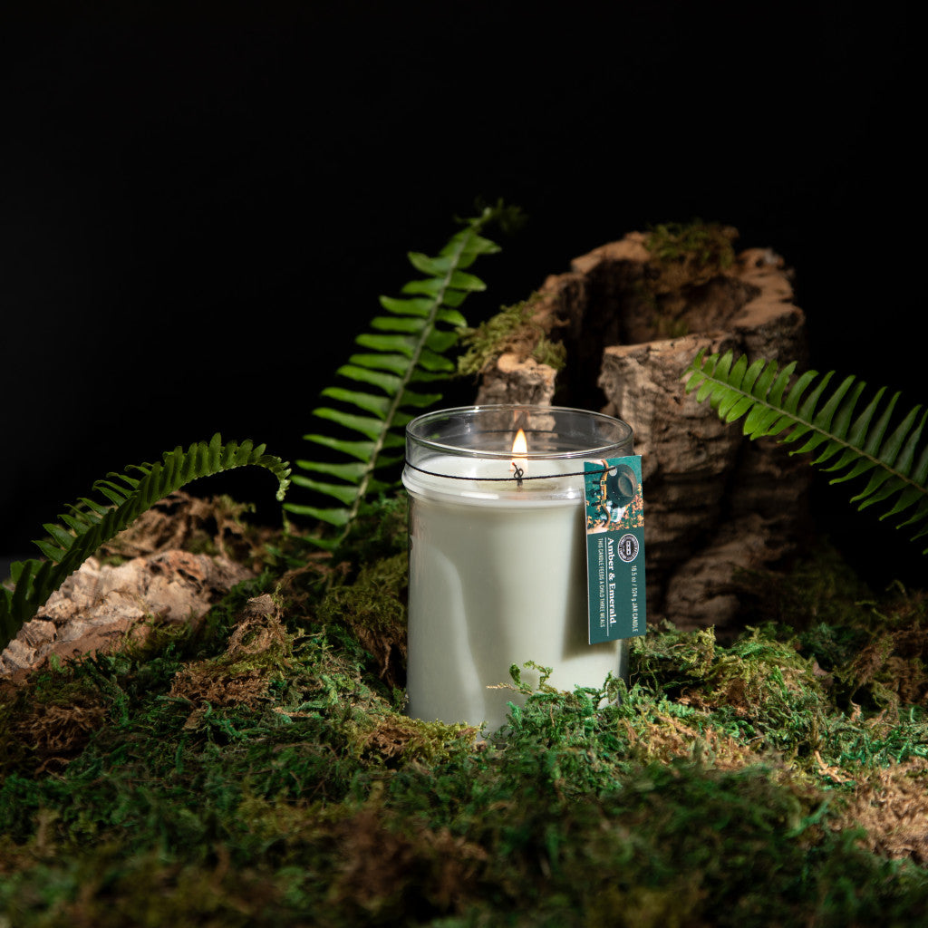 The Bridgewater Candle Company Amber & Emerald 18oz Large Jar Candle, made with soy-blend wax, glows in a glass jar on green moss with fern leaves and tree bark, set against a black background with a tag attached.