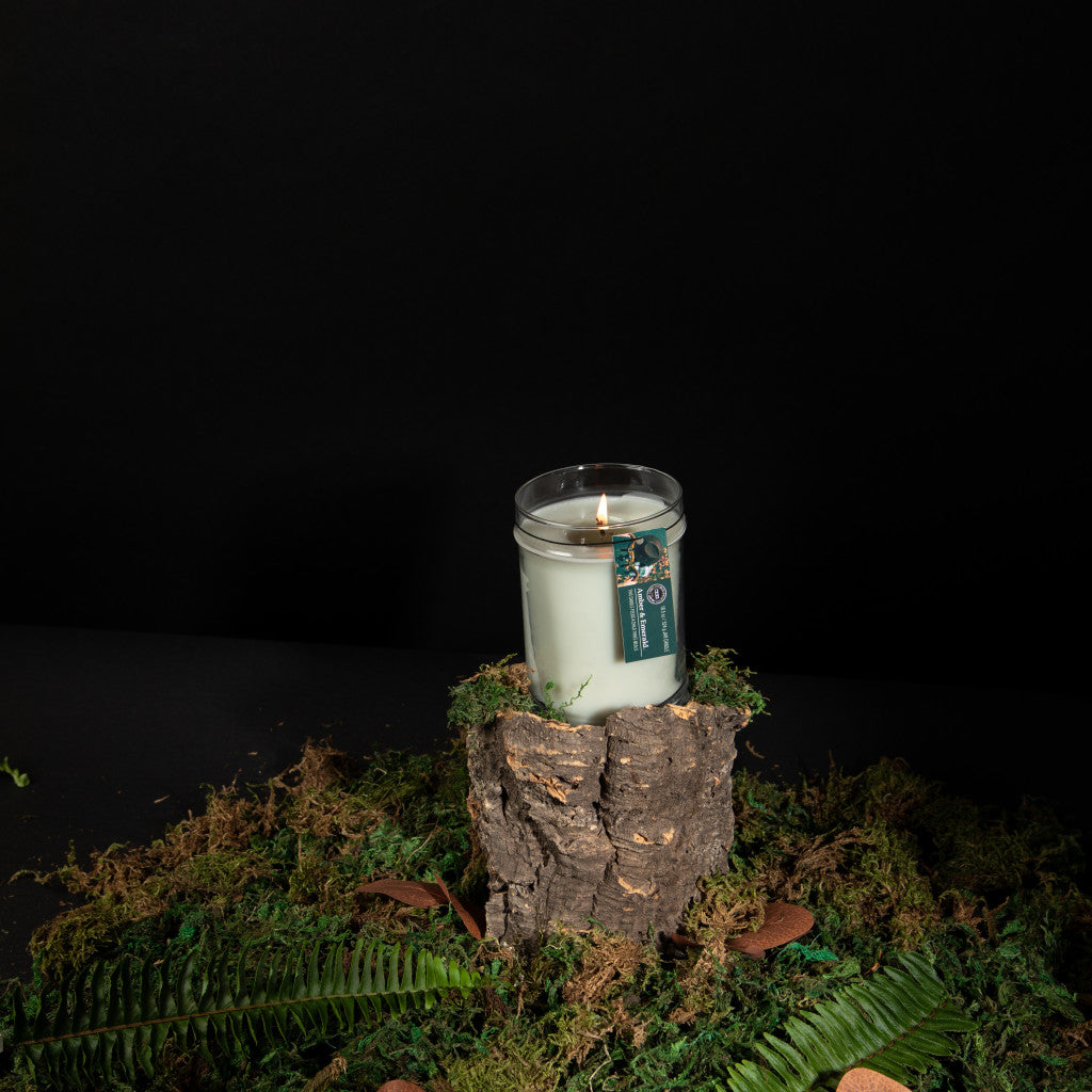 The Bridgewater Candle Company Amber & Emerald 18oz Large Jar Candle, with a green label and soy-blend wax, sits on a tree stump among moss and ferns, bringing its enchanting fragrance to the scene against a black background.