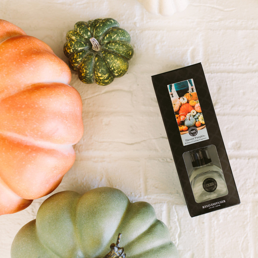 The Bridgewater Candle Companys Harvest Pumpkin Reed Diffuser, in a sleek black box with a festive label, sits on a white surface surrounded by decorative pumpkins—perfect for adding an inviting fall fragrance to your space.