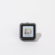 Square Bridgewater Auto Vent Clip-Laundry Line fragrance car air freshener featuring an image of clothes hanging on a line with the text Laundry Line.