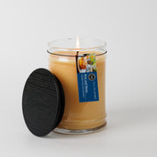 A lit Bridgewater Candle Rise & Shine 18oz Large Jar Candle sits in a clear glass jar with a black lid nearby. Made with soy-blend wax, it features a blue tag labeled Renew and Shine, plus a chamomile flower image. The background is white.