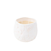 The Bridgewater Candle Company’s Sweet Grace Collection Candle #057 sits in a white ceramic holder with a floral pattern, crafted from soy-blend wax and two wicks, adding luxurious fragrance against a plain white background.