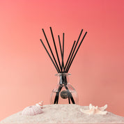 A Bridgewater Candle Sunkissed Reed Diffuser with black fiber reeds stands on sand amid seashells and a starfish, set against a pink gradient background, evoking the fresh, vibrant scent of Sunkissed.
