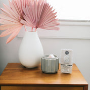 A white vase with pink dried palm leaves, a gray wax warmer with soy-blend melts, and a Fast Bundle Sweet Grace Wax Bar 3 Pack Bundle sit on a wooden table by a window, offering flameless fragrance.