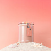 The Bridgewater Candle Sunkissed 18oz Large Jar Candle features soy-blend wax in a glass jar with a wooden lid and tag. Set on sand with seashells and a starfish, it creates a beachy vibe against a pink gradient background.