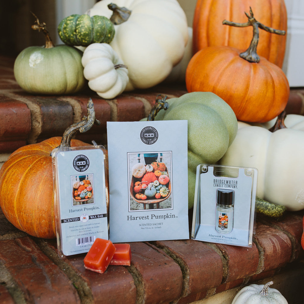 A display of the Bridgewater Candle Company Harvest Pumpkin Flameless Bundle sits on brick steps, surrounded by orange, green, and white pumpkins and gourds.